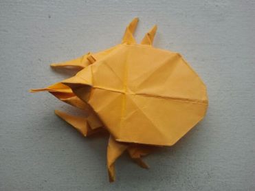 Origami Beetle 5.1.2017