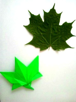 Sugar Maple Leaf and Origami Maple Leaf 7.2.2017